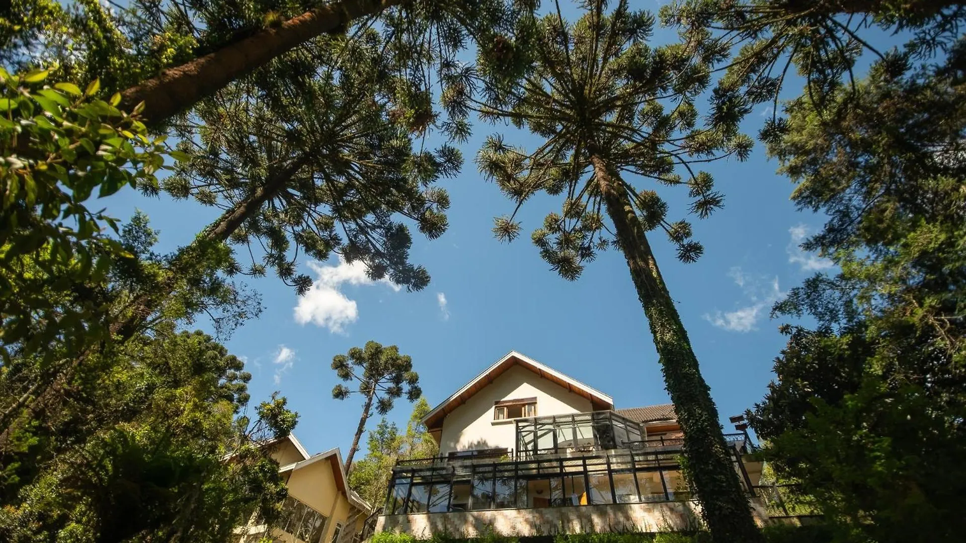 Araucaria Lodge - 800 Metros Do Capivari Campos do Jordao Hotel